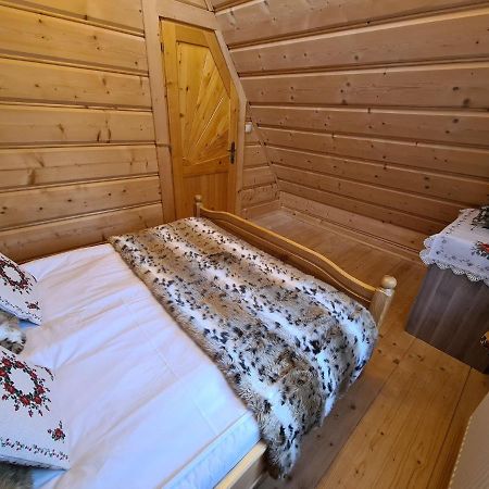 Alpinka Bukowina Tatrzańska Exterior foto